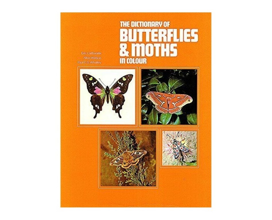 Watson, allan - paul e.s. whalley - The dictionary of Butterflies & Moths in color.